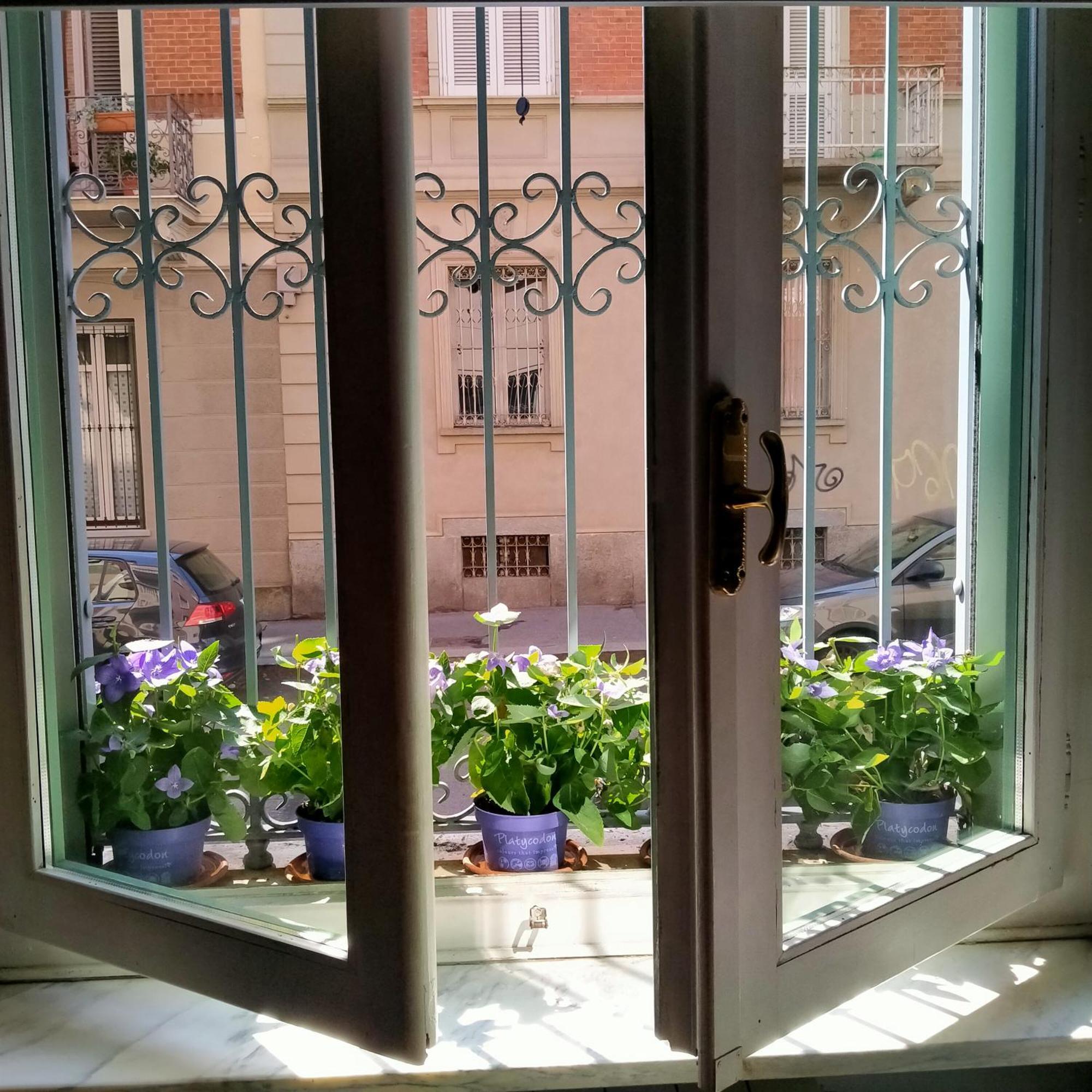 La Graziosa Torino, Porta Susa Exteriör bild